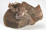 Sharp, Scalenohedral Calcite Crystal Cluster - Red Dome Mine #204694-1